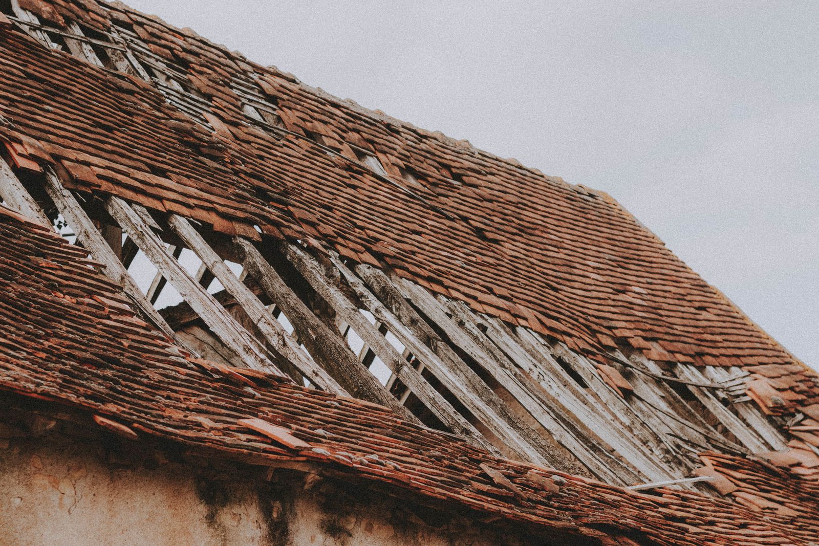 Weathered and damaged roofing shingles